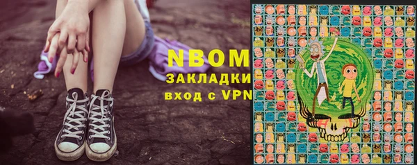 индика Балахна