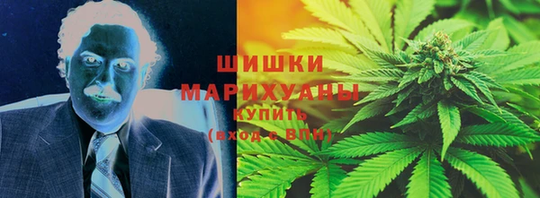 индика Балахна
