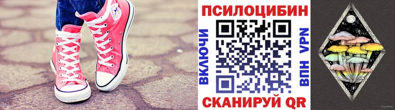 Псилоцибиновые грибы прущие грибы Строитель